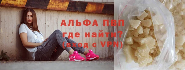 прущие грибы Балабаново