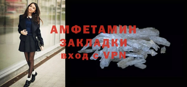 прущие грибы Балабаново