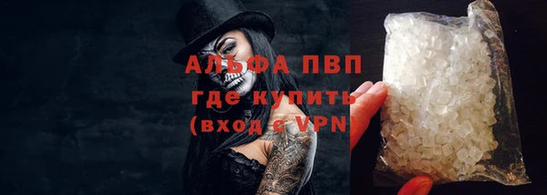 прущие грибы Балабаново