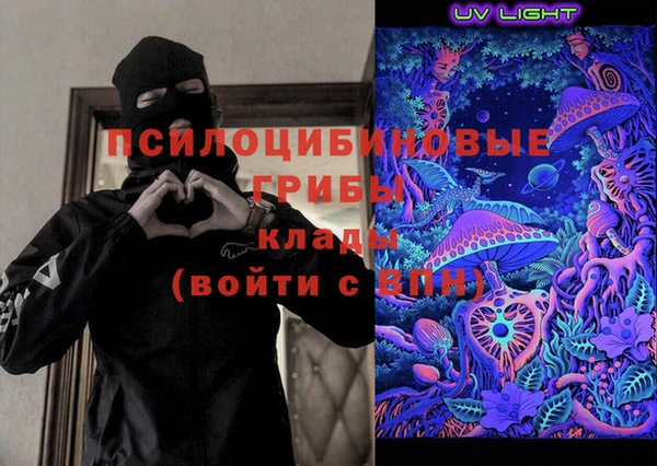 прущие грибы Балабаново