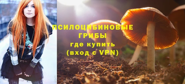 прущие грибы Балабаново