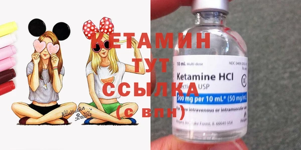 прущие грибы Балабаново