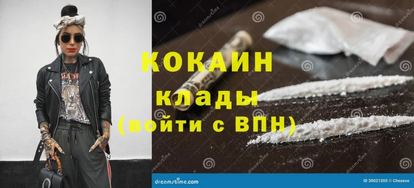 прущие грибы Балабаново