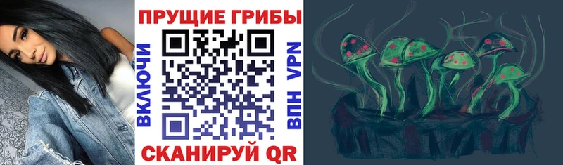 Псилоцибиновые грибы Psilocybine cubensis  mega ссылки  Славск 